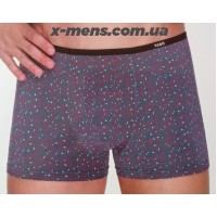 TASO BOXER new2