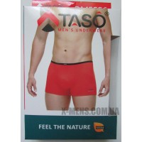 TASO BOXER (modal)18/04