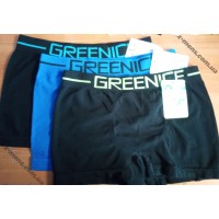 GREENICE 20/01