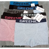 GREENICE new 20/05