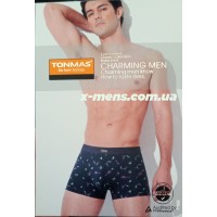 TONMAS (гитара)