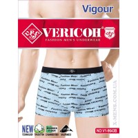 VERICOH 02/20