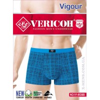VERICOH 13