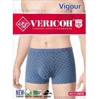 VERICOH 01/20