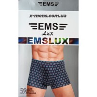 EMS 011