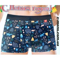 VERICOH (Новий рік) 1