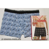 DO-ADAMS(BOXER) 20/06