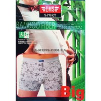 EMS (батал/мал.)