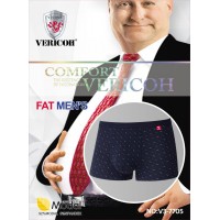 VERICOH big MODAL 02/20