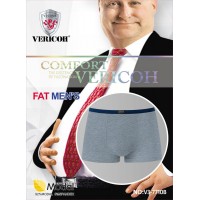 VERICOH big MODAL 01/20