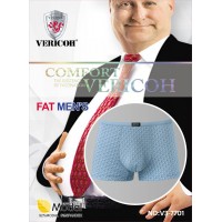 VERICOH big MODAL 03/20