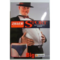 ZILLER (big slip)1