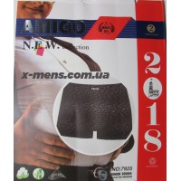 DO-AMIGO (батал 2/19)