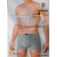 VERICOH (Modal 20/01)