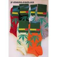 krokus (конопля) 