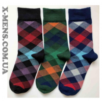 Слід Лева (яркі)