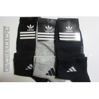 adidas (экспорт)