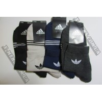 adidas (ukr)1