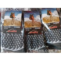 evolite (термо,трекінг)