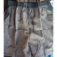 HS AUTHENTIC (норма)