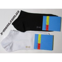 krokus 36-40 кор.